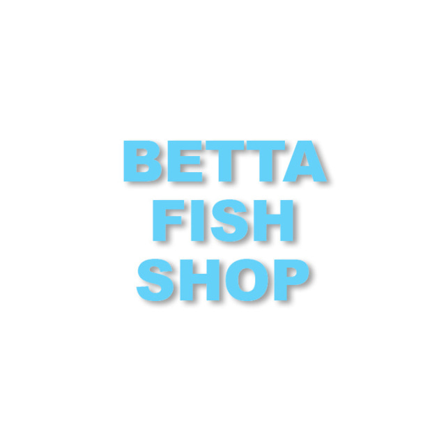 betta fish store near me